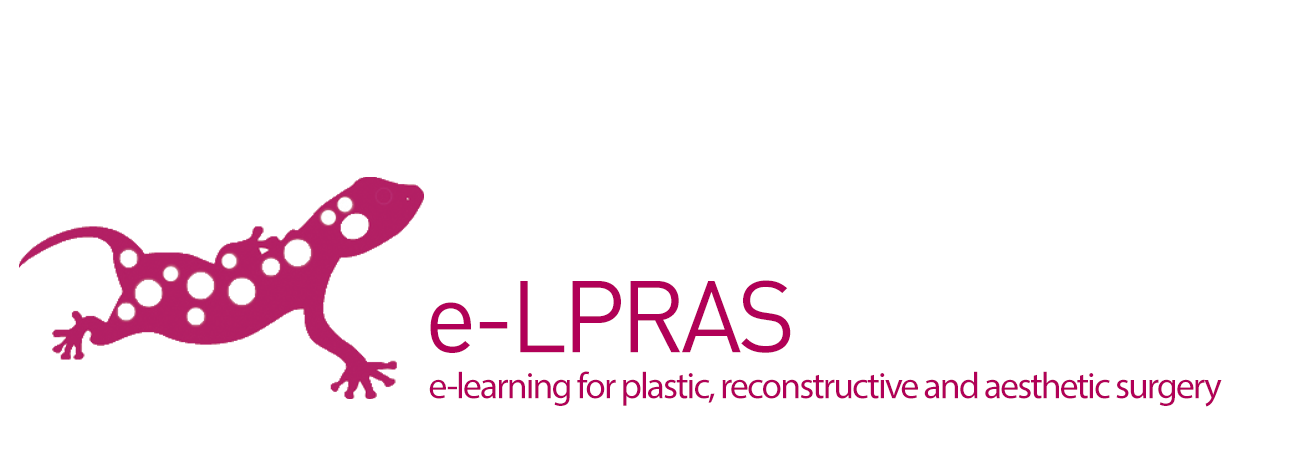 Now Recruiting: Deputy Director of e-LPRAS (2025–2026)