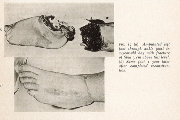 collection microsurgery jan 2023 2 collection microsurgery jan 2023 2