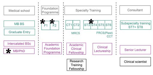 Integrated academic training pathway
