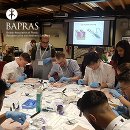 BAPRAS 18th Undergraduate Day Summary