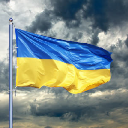 Support for Ukraine - Lower limb webinar series