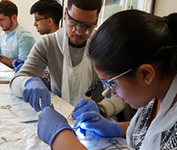 Newcastle 8th Cadaveric Speech and Palatal Surgery Course