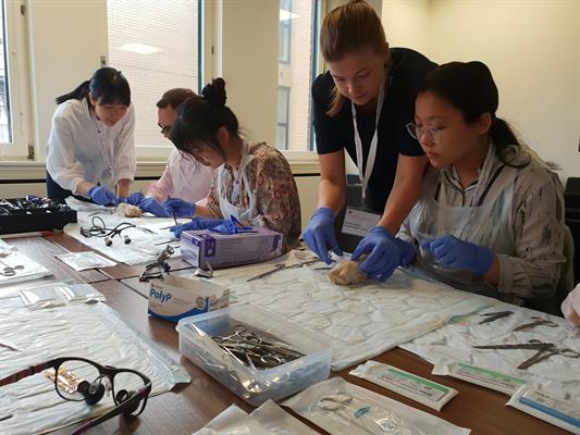 20190330_115110 20190330_115110